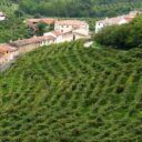 Prosecco Superiore: an excursion encompassing art, history and sparkling wine