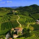 Picolit: an inimitable and rare meditation wine