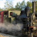 Ferrovia Varese Mendrisio: immersioni nel tempo e nel verde