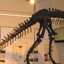 Museo di scienze naturali Bergamo: a source of pride for the city