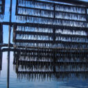 Ricette tipiche del lago di Iseo: il pesce.